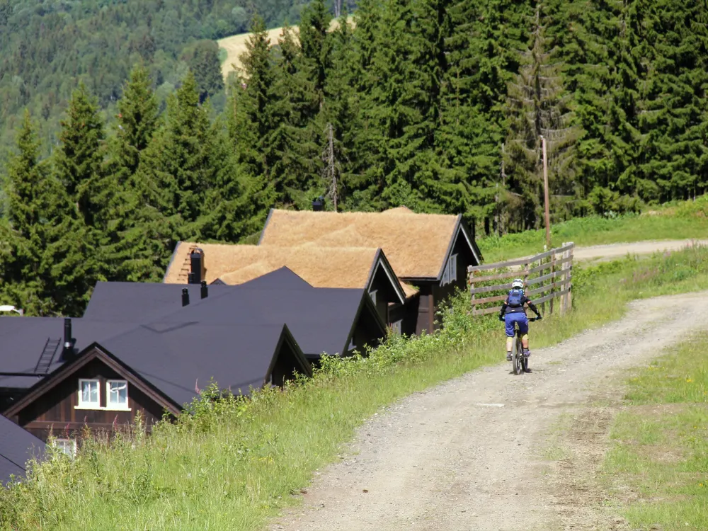 Hafjell Gard chalet 81