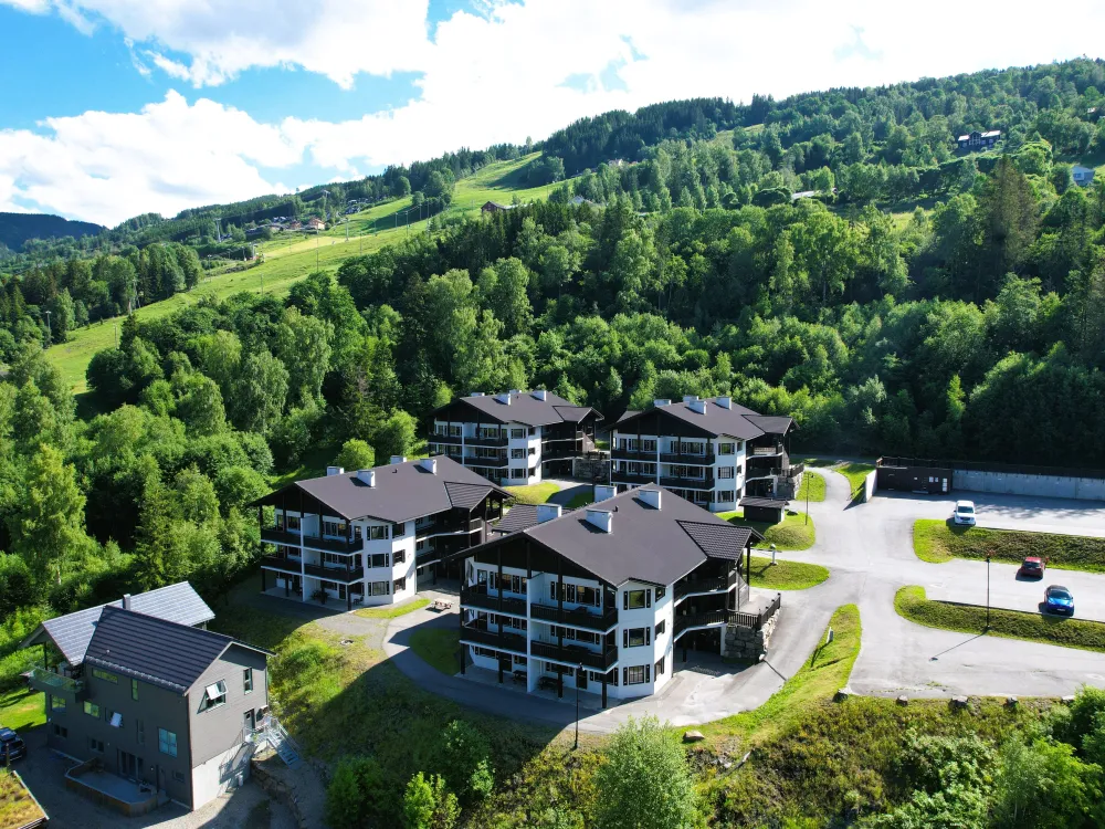 Apartments Sørlia 4 - 12 senger