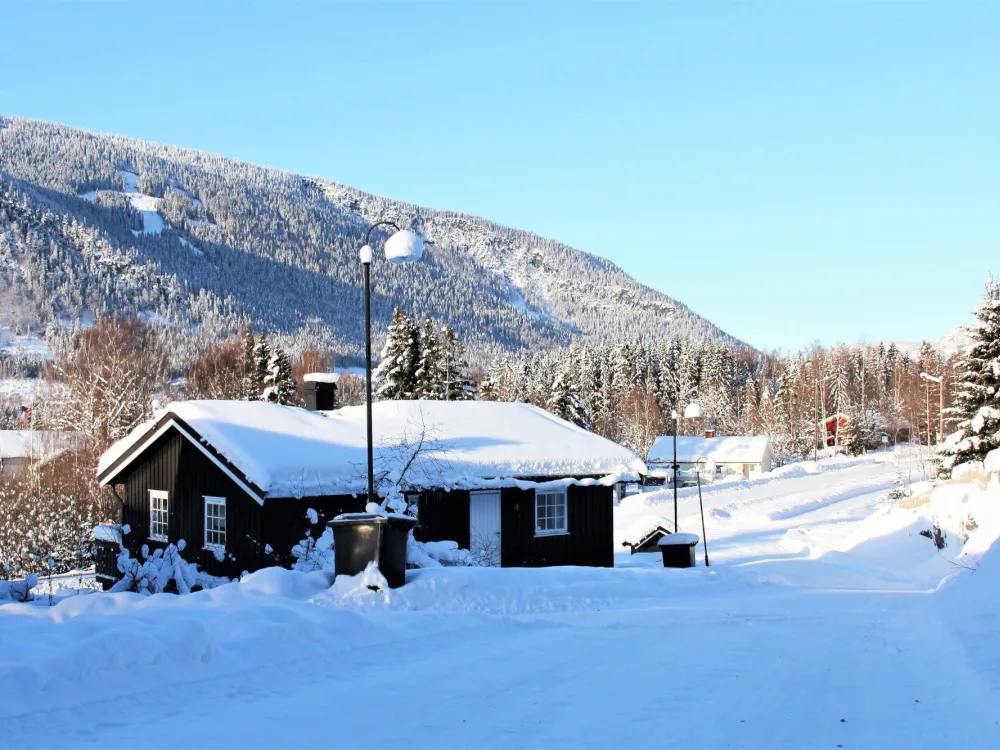 Bergstad nr. 17