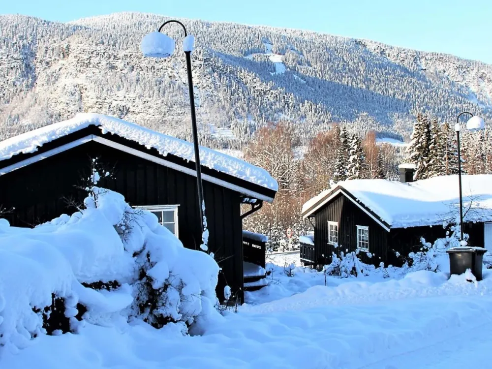 Bergstad nr. 16