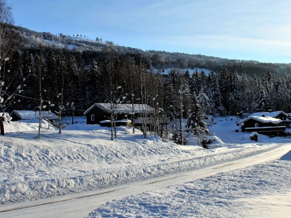 Bergstad nr. 17