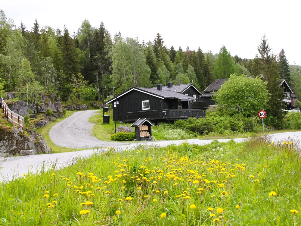 Bergstad nr. 16